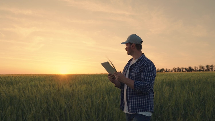 Un agricoltore di profilo usa un tablet in un campo di grano, stagliato contro un cielo dorato al tramonto.
