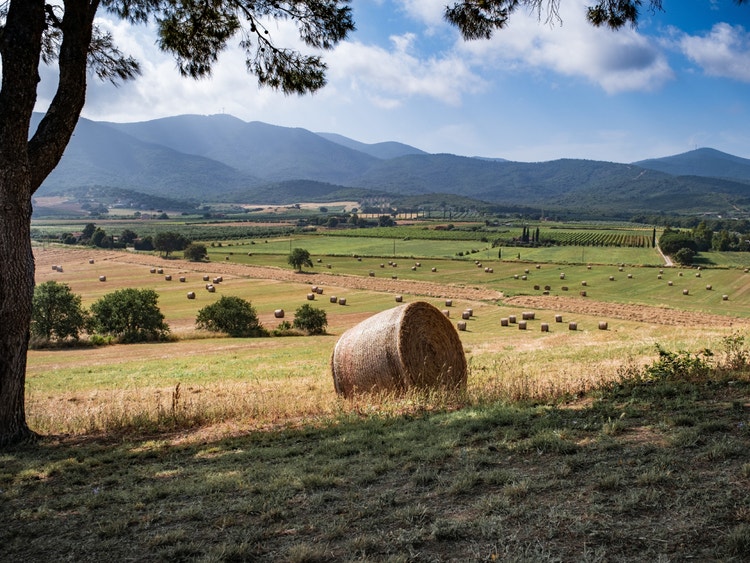 Ampio paesaggio collinare con balle di fieno sparse nei campi coltivati sotto un cielo nuvoloso, incorniciato da alberi.