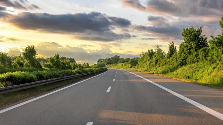 Strada fuori città con grandi alberi verdi ai lati