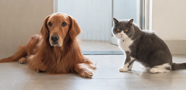 UnipolSai Polizza Cane&Gatto
